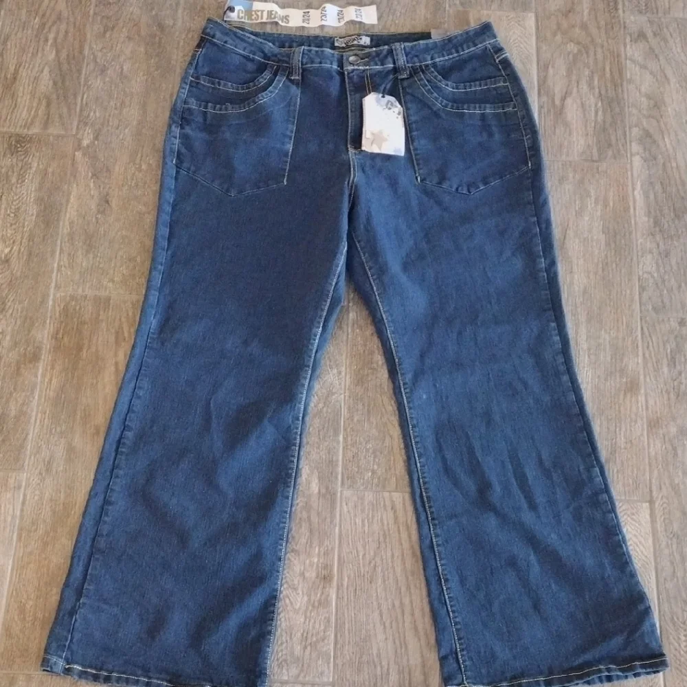 Crest Jeans Plus With Golden Back Embroidery Pockets. Size 23/24 Plus Stretch - Picture 2 of 13